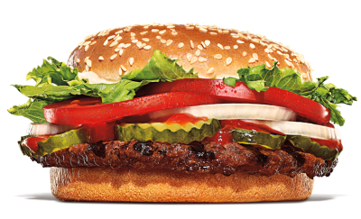 Double veggie burger